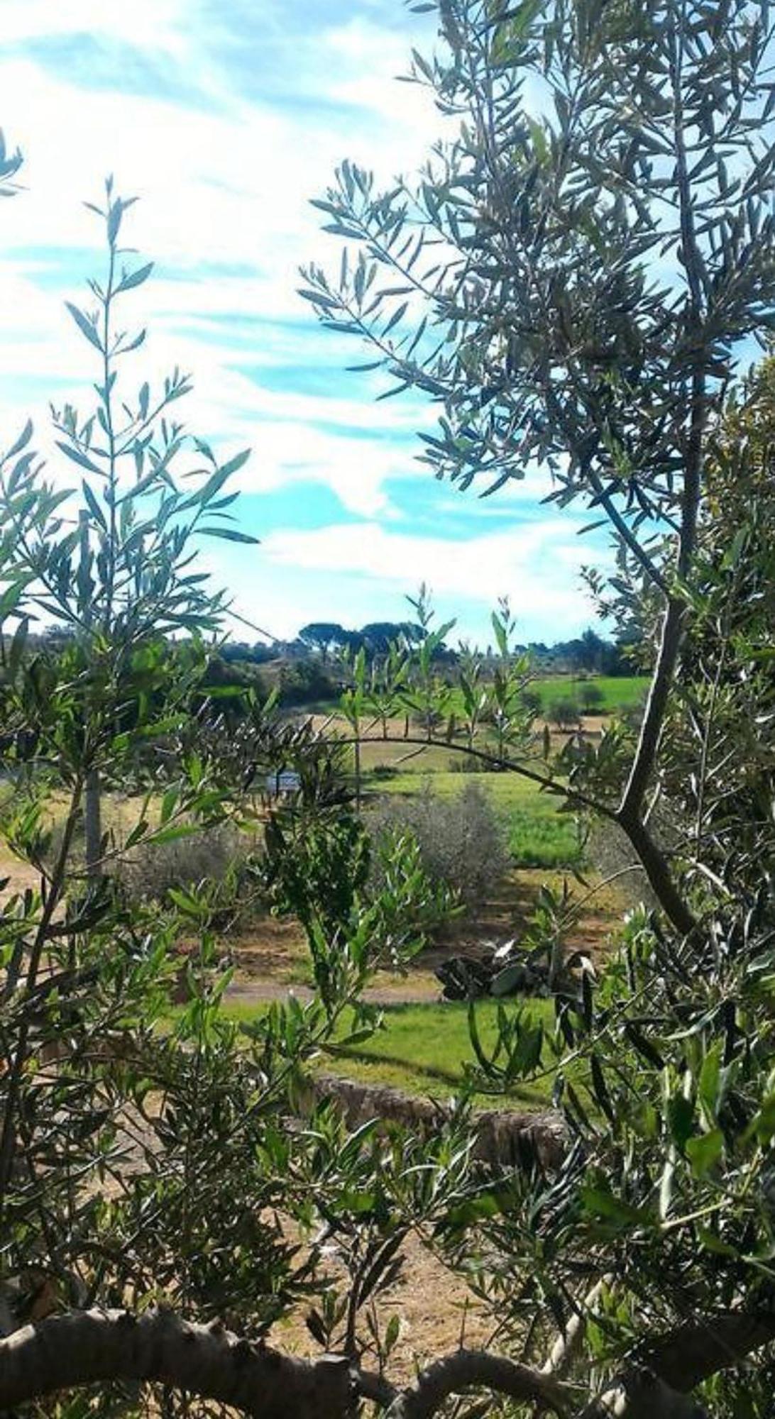 La Mandriana Massa Marittima Exterior foto