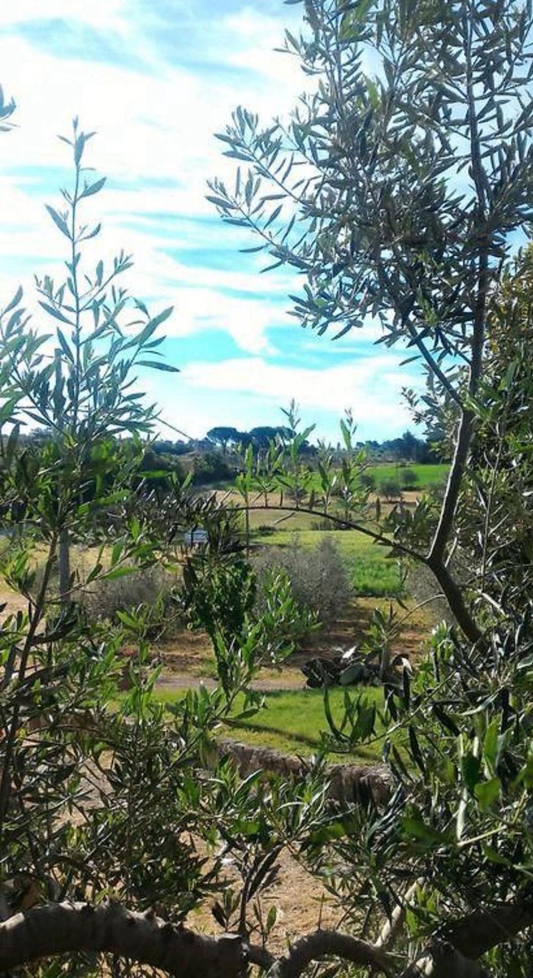 La Mandriana Massa Marittima Exterior foto